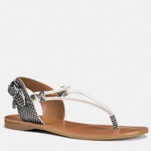 Coach clarkson snakeskin thong Sandals